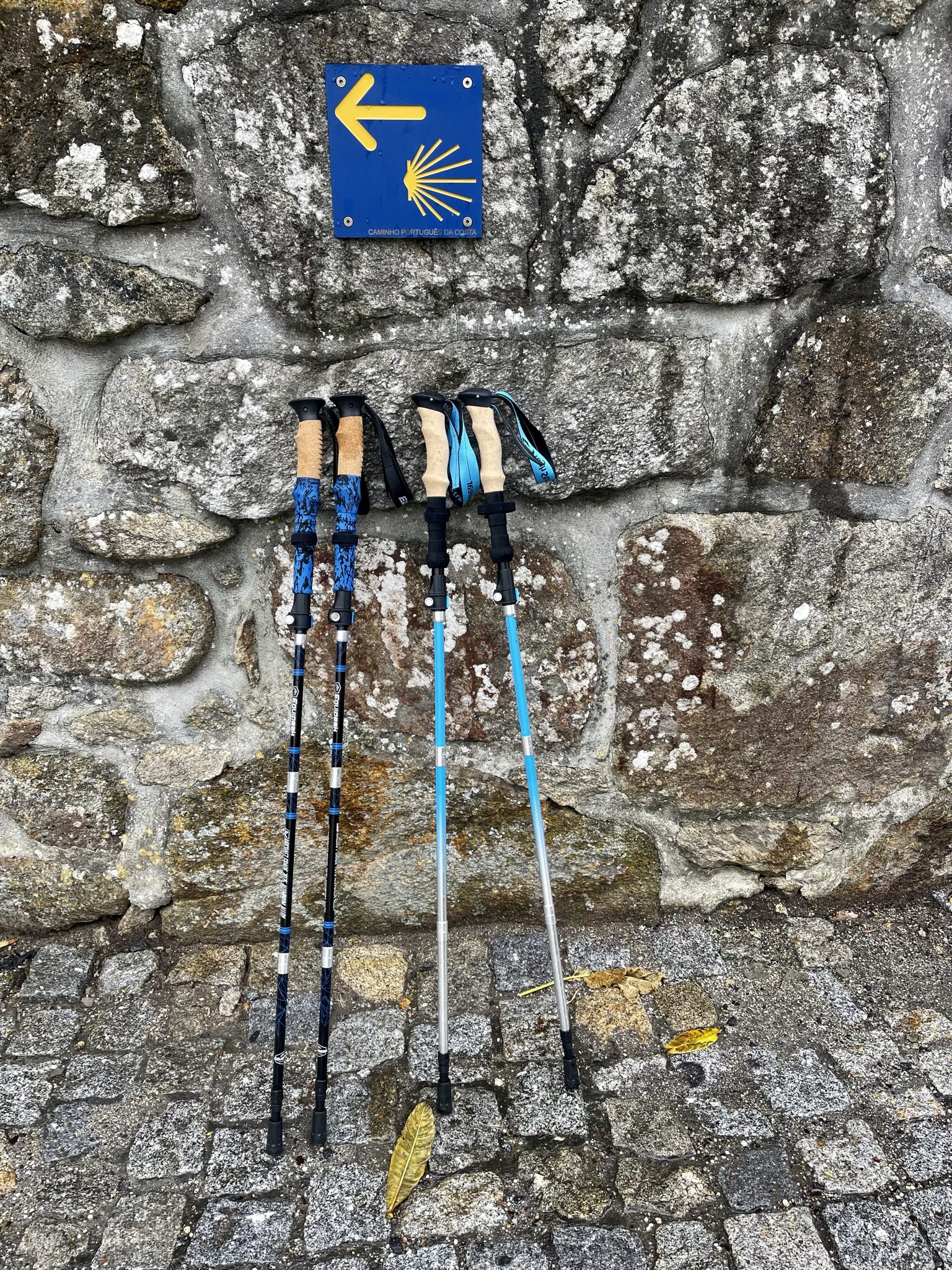 Walking poles leaning against Camino de Santiago sign.