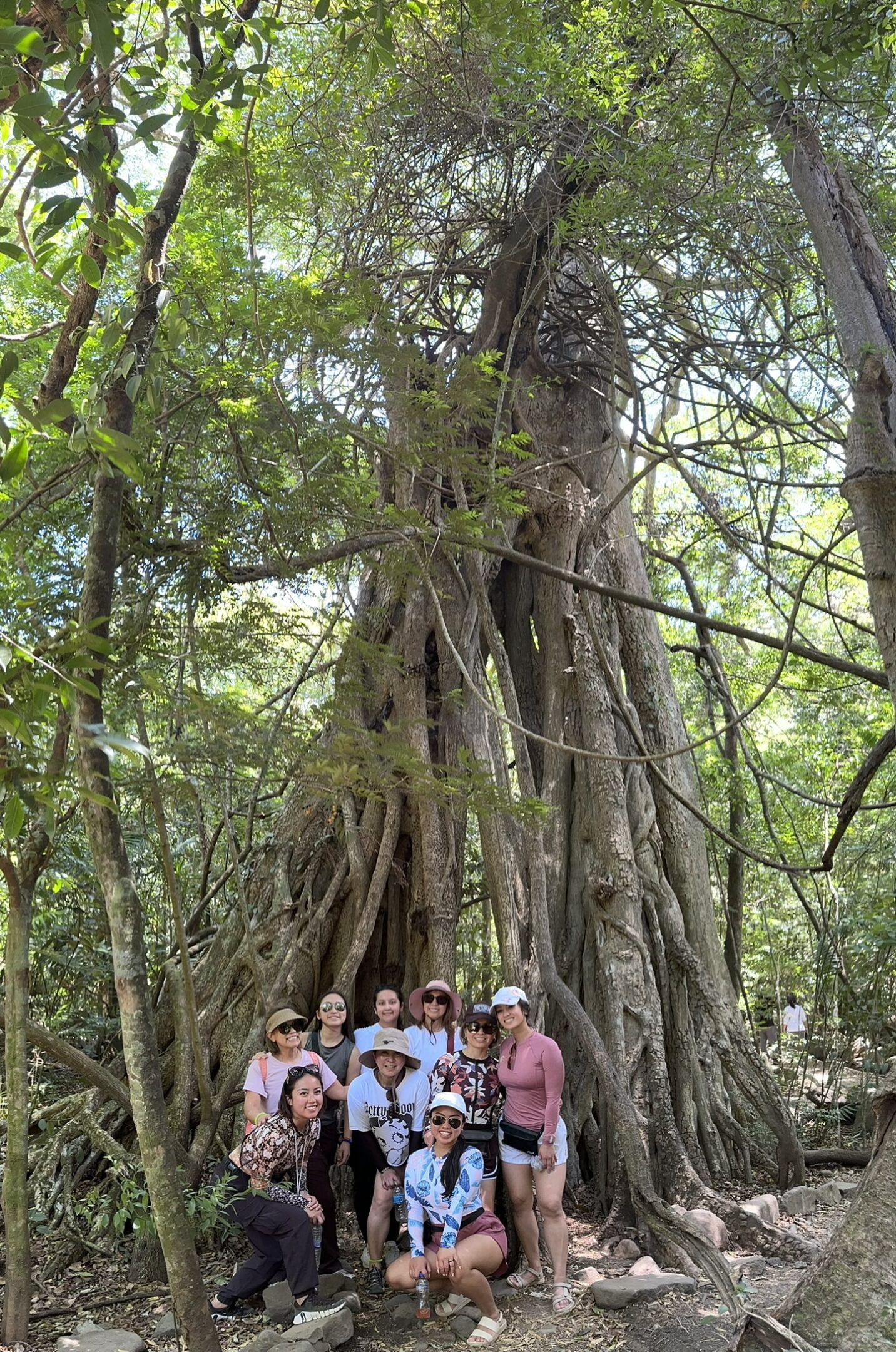 Group posing in front of large tree.